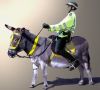 donkey cop.jpg