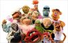 Filename : A-gaggle-of-Muppets.jpg
Filesize : 103KB
Dimensions : 600x379
Date added : Oct 19, 2016 A-gaggle-of-Muppets.jpg