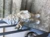 Filename : IMG_2089.JPG
Filesize : 657KB
Dimensions : 2048x1536
Date added : Sep 25, 2016 IMG_2089.JPG