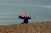 Filename : shutterstock_359834.jpg
Filesize : 229KB
Dimensions : 1000x667
Date added : Jun 24, 2016 shutterstock_359834.jpg