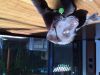 Filename : IMG_0429~3.JPG
Filesize : 467KB
Dimensions : 2048x1536
Date added : Oct 16, 2016 IMG_0429~3.JPG