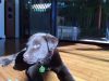 Filename : IMG_0429~4.JPG
Filesize : 467KB
Dimensions : 2048x1536
Date added : Oct 16, 2016 IMG_0429~4.JPG