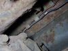 Filename : IMG_2342.JPG
Filesize : 500KB
Dimensions : 2048x1536
Date added : Dec 03, 2016 IMG_2342.JPG