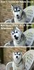 Filename : 5C4E5F99-285F-47C3-AAC0-7989AFB778AE.jpg
Filesize : 72KB
Dimensions : 473x960
Date added : Oct 28, 2016 5C4E5F99-285F-47C3-AAC0-7989AFB778AE.jpg