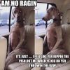 Filename : image~18.jpeg
Filesize : 63KB
Dimensions : 600x600
Date added : Jun 09, 2016 image~18.jpeg