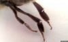 Filename : image~28.jpeg
Filesize : 28KB
Dimensions : 537x338
Date added : Jun 28, 2016 image~28.jpeg