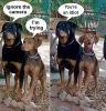 Filename : image~57.jpeg
Filesize : 153KB
Dimensions : 708x732
Date added : Jul 18, 2016 image~57.jpeg