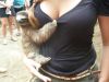 Filename : image~63.jpeg
Filesize : 121KB
Dimensions : 960x720
Date added : Jul 24, 2016 image~63.jpeg
