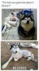 Filename : image~84.jpeg
Filesize : 104KB
Dimensions : 535x960
Date added : Aug 19, 2016 image~84.jpeg