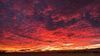 Filename : EG4I2700.jpg
Filesize : 180KB
Dimensions : 1024x576
Date added : Sep 05, 2022 EG4I2700.jpg