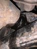 IMG_7504.jpeg