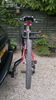 Filename : rear bike rack.jpg
Filesize : 227KB
Dimensions : 575x1023
Date added : May 19, 2020 rear bike rack.jpg