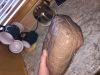 Filename : image.jpg
Filesize : 414KB
Dimensions : 2048x1536
Date added : Sep 04, 2015 image.jpg