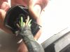 Filename : image~11.jpeg
Filesize : 380KB
Dimensions : 2048x1536
Date added : Dec 09, 2015 image~11.jpeg