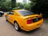 Filename : bumper.jpg
Filesize : 618KB
Dimensions : 2048x1536
Date added : Jan 14, 2014 bumper.jpg