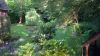 Filename : officewindow.jpg
Filesize : 367KB
Dimensions : 1280x720
Date added : Jun 12, 2014 officewindow.jpg