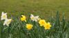 Filename : DSC07512.JPG
Filesize : 256KB
Dimensions : 2048x1148
Date added : Apr 05, 2015 DSC07512.JPG