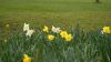 Filename : DSC07514.JPG
Filesize : 284KB
Dimensions : 2048x1148
Date added : Apr 05, 2015 DSC07514.JPG