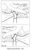 Filename : axlestands-rear.png
Filesize : 34KB
Dimensions : 364x577
Date added : Sep 07, 2013 axlestands-rear.png