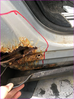 Filename : Capture~1001.PNG
Filesize : 496KB
Dimensions : 508x681
Date added : Jul 15, 2020 Capture~1001.PNG