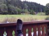 Filename : image.jpg
Filesize : 472KB
Dimensions : 2048x1529
Date added : Sep 28, 2014 image.jpg