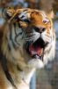 Filename : image~29.jpg
Filesize : 217KB
Dimensions : 898x1348
Date added : Jun 15, 2014 image~29.jpg