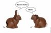 funny_easter_bunnies.jpg