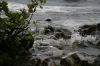 Filename : 881.JPG
Filesize : 122KB
Dimensions : 800x533
Date added : Sep 27, 2014 881.JPG