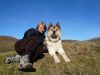 Filename : P1000082.JPG
Filesize : 555KB
Dimensions : 2048x1536
Date added : Oct 27, 2016 P1000082.JPG