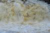 Filename : P1000533.JPG
Filesize : 100KB
Dimensions : 800x534
Date added : Sep 27, 2014 P1000533.JPG