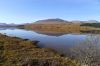 Filename : P1000631.JPG
Filesize : 135KB
Dimensions : 800x534
Date added : Sep 27, 2014 P1000631.JPG