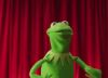 Filename : giphy.gif
Filesize : 481KB
Dimensions : 500x360
Date added : Nov 23, 2015 giphy.gif