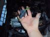 DSC04676.JPG