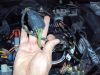 DSC04677.JPG