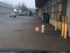Filename : IMG_1768.jpg
Filesize : 338KB
Dimensions : 2048x1536
Date added : Feb 28, 2019 IMG_1768.jpg