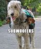 subwoofers.jpg