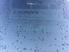 Filename : IMG_0664.jpeg
Filesize : 276KB
Dimensions : 2048x1536
Date added : Dec 03, 2019 IMG_0664.jpeg