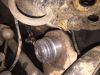 Filename : IMG_6821.JPG
Filesize : 427KB
Dimensions : 2048x1536
Date added : Sep 20, 2016 IMG_6821.JPG
