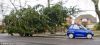 Filename : article-1235628-079573BA000005DC-775_634x286.jpg
Filesize : 76KB
Dimensions : 634x286
Date added : Dec 04, 2015 article-1235628-079573BA000005DC-775_634x286.jpg