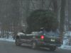 Filename : christmas-tree-eats-car.jpg
Filesize : 384KB
Dimensions : 2048x1536
Date added : Dec 04, 2015 christmas-tree-eats-car.jpg