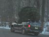 christmas-tree-eats-car.jpg