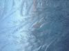 Filename : image~1.jpeg
Filesize : 762KB
Dimensions : 2048x1529
Date added : Nov 26, 2016 image~1.jpeg