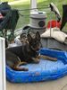 Filename : 29DC3463-06AC-4B43-A298-33795DAA932F.jpeg
Filesize : 478KB
Dimensions : 1536x2048
Date added : Mar 22, 2020 29DC3463-06AC-4B43-A298-33795DAA932F.jpeg