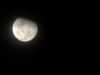Filename : 6BE4B3B1-DB19-464E-BD12-B248C2649577.jpeg
Filesize : 59KB
Dimensions : 2048x1536
Date added : May 07, 2020 6BE4B3B1-DB19-464E-BD12-B248C2649577.jpeg