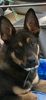 Filename : 8ADCA69E-A2C0-4080-8C64-E5B2F7E31BE6_1_201_a.jpeg
Filesize : 173KB
Dimensions : 945x2046
Date added : Mar 22, 2020 8ADCA69E-A2C0-4080-8C64-E5B2F7E31BE6_1_201_a.jpeg