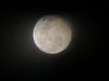 Filename : EE1F7102-CDB2-4069-8F90-8EE97D37A3E4.jpeg
Filesize : 123KB
Dimensions : 2048x1536
Date added : May 07, 2020 EE1F7102-CDB2-4069-8F90-8EE97D37A3E4.jpeg