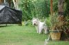 Filename : DSC_0003.jpg
Filesize : 526KB
Dimensions : 2048x1361
Date added : Dec 19, 2018 DSC_0003.jpg
