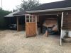 Filename : IMG_3585.jpg
Filesize : 588KB
Dimensions : 2048x1536
Date added : Jan 10, 2019 IMG_3585.jpg