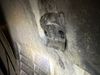 Filename : Front Scrivets.jpeg
Filesize : 294KB
Dimensions : 1750x1313
Date added : Dec 24, 2024 Front Scrivets.jpeg