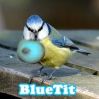 Filename : image~11.jpg
Filesize : 11KB
Dimensions : 224x224
Date added : Feb 10, 2015 image~11.jpg